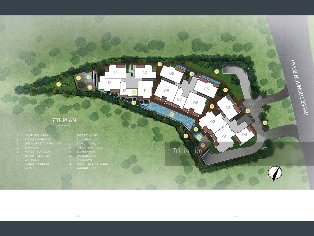 Three 11 (D20), Apartment #143000222